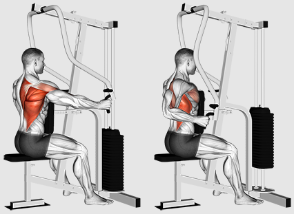 Errenkadetan edo tira egin behar al dugu itzultzeko prestakuntza hobea lortzeko?