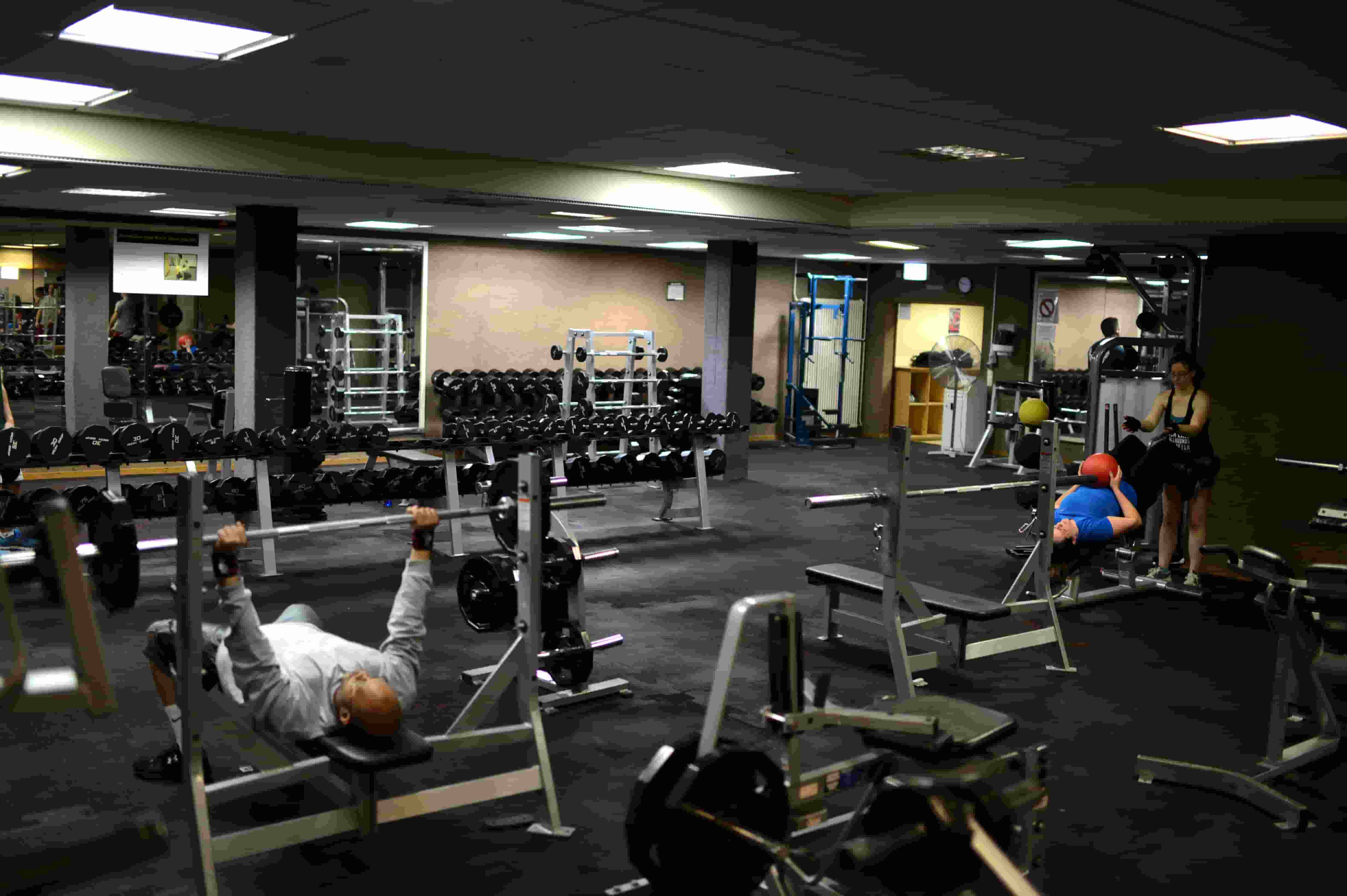 Zazpi ariketa Muskuluak azkar eraikitzen eta fisiko bikaina lortzen laguntzeko