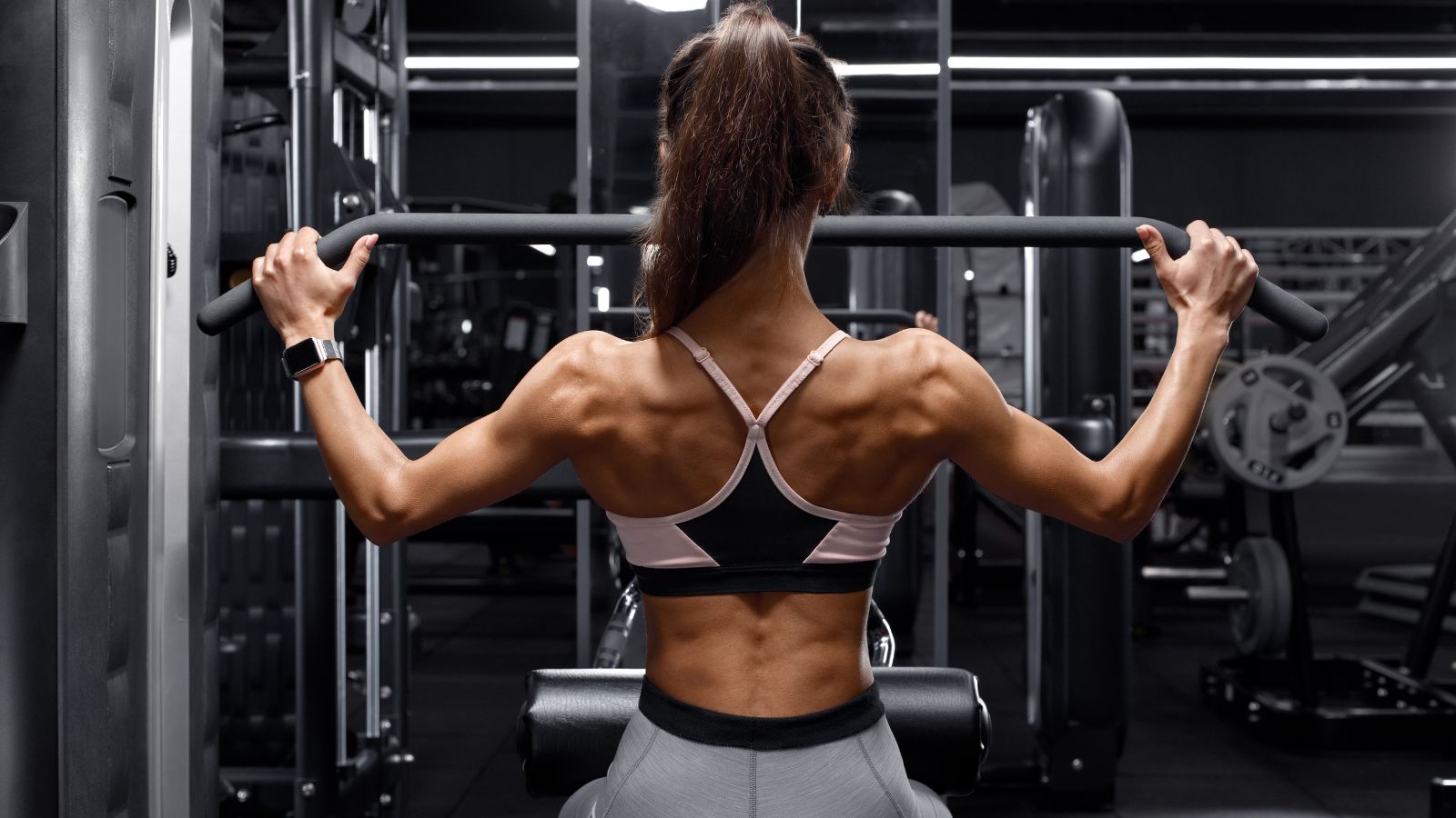 Fitness Ekipamenduen Erabilerarako Gida - Bizkarreko Entrenamendu Edizioa