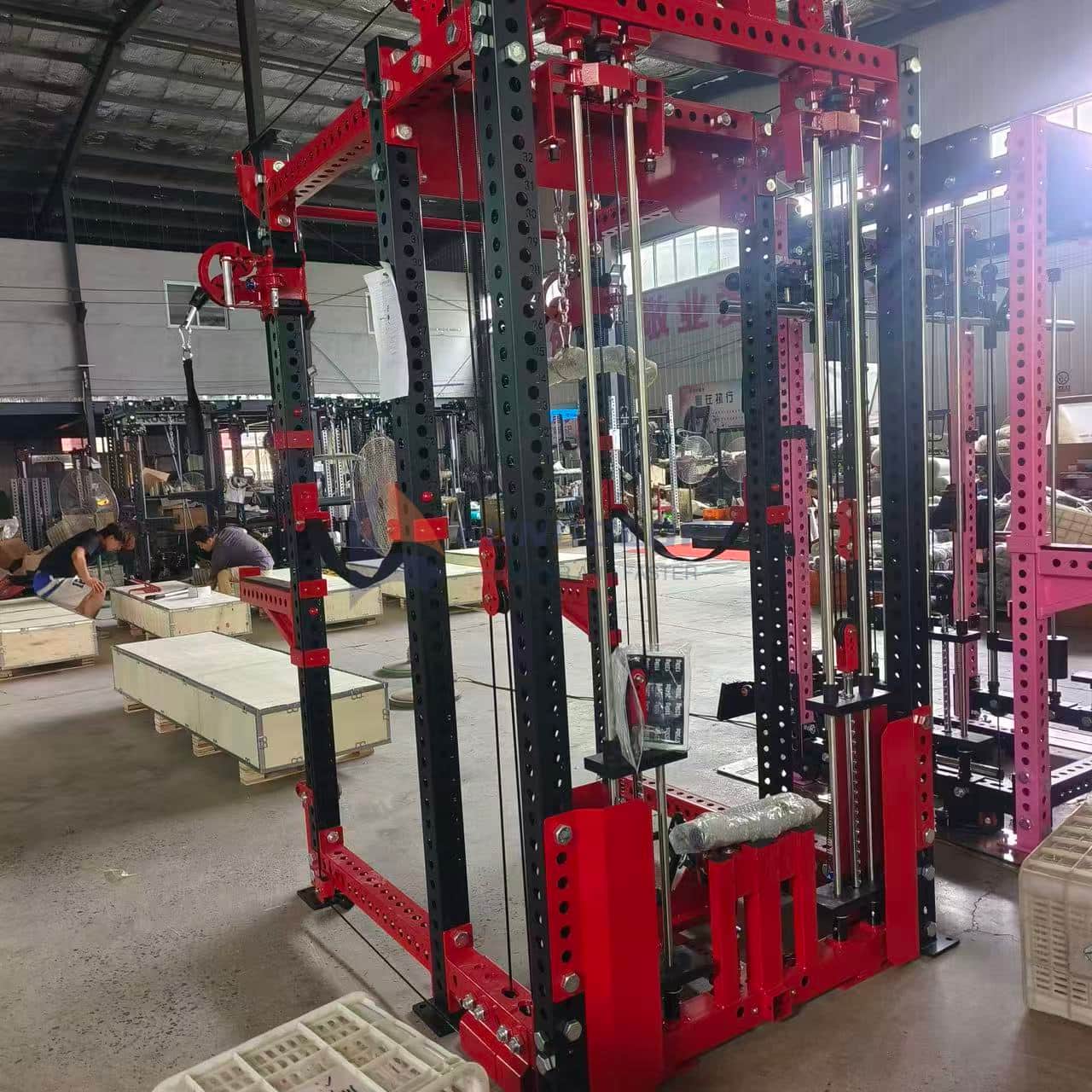 Funtzio anitzeko Trainer Cable Crossover